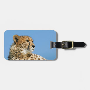 Beautiful Cheetah Luggage Tag