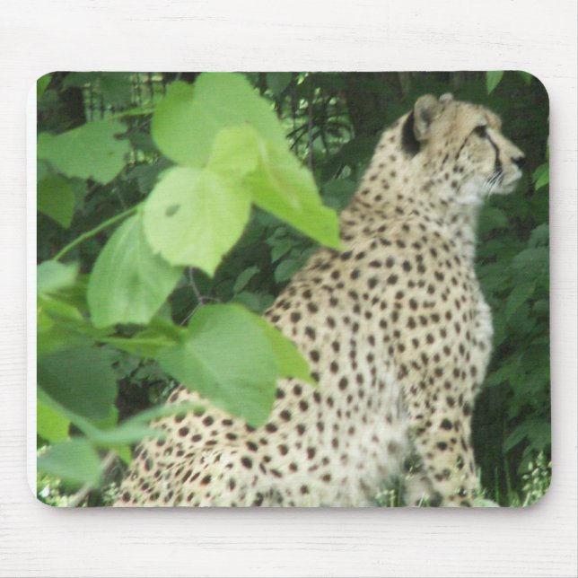 Beautiful cheetah mouse pad (Front)