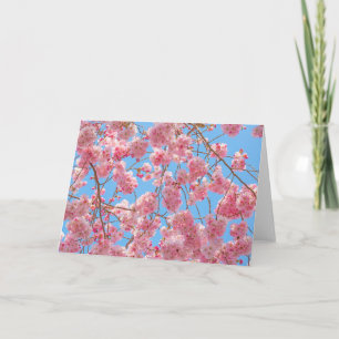 Beautiful Cherry Blossom Greeting Card