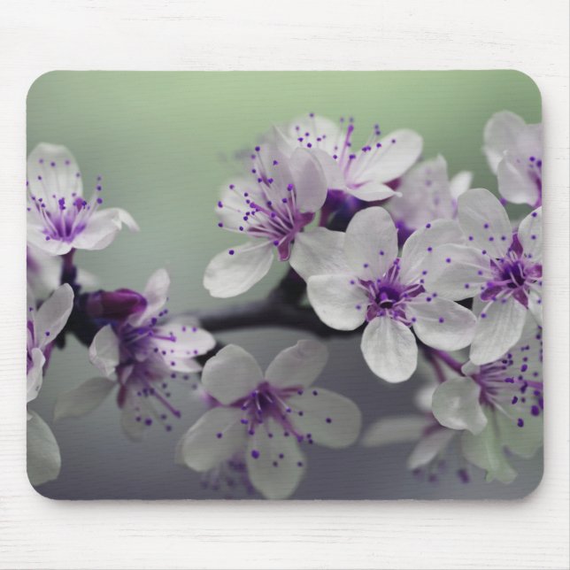 Beautiful Cherry Blossom Mouse Pad (Front)