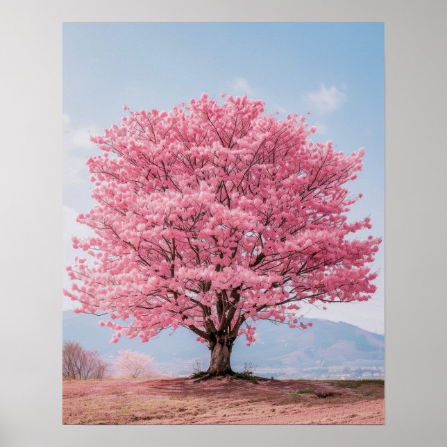 Beautiful Cherry Blossom Tree Poster (Front)
