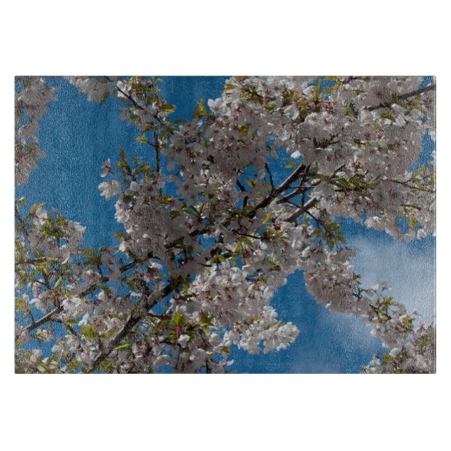 Beautiful cherry blossoming tree against blue sky. cutting board (Front)