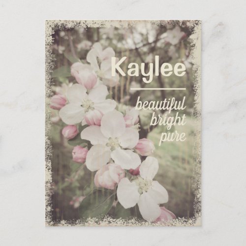 Beautiful Cherry Blossoms Custom Name with Meaning Postcard