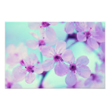 Beautiful Cherry Blossoms On Branch In Full Bloom