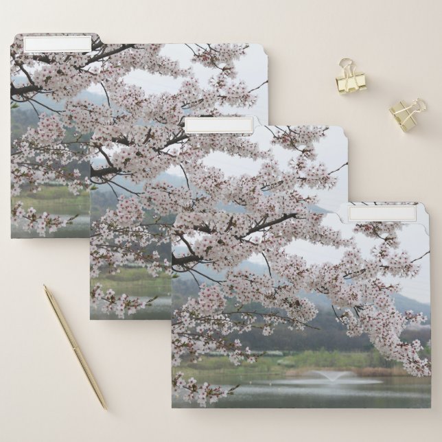 Beautiful Cherry Tree File Folder (Set)