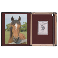 Beautiful chesnut horse head photo ipad case