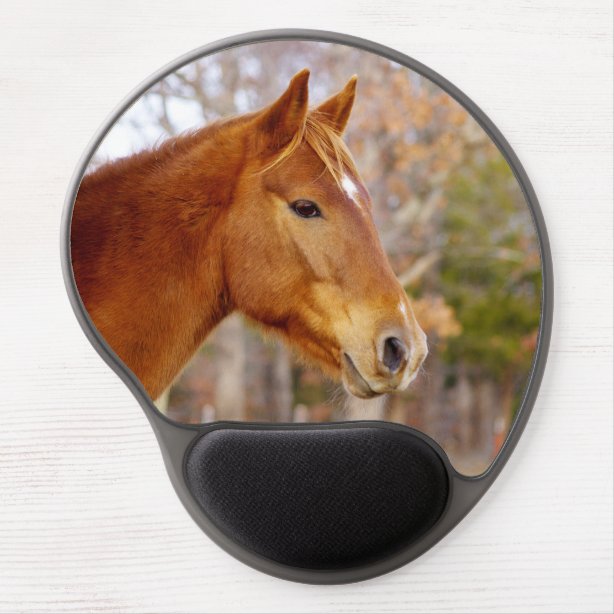 Horse Mouse Pads Zazzle