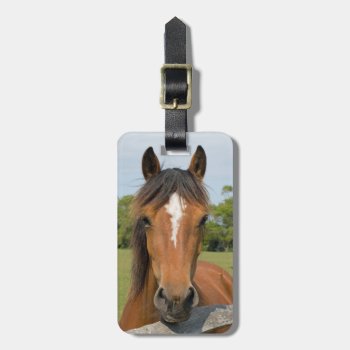 Beautiful Chestnut Horse Head Photo Luggage Tag by roughcollie at Zazzle