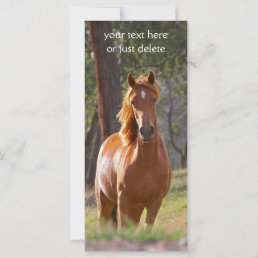 Beautiful chestnut horse photo bookmark custom