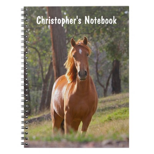 Beautiful chestnut horse photo custom boys name notebook