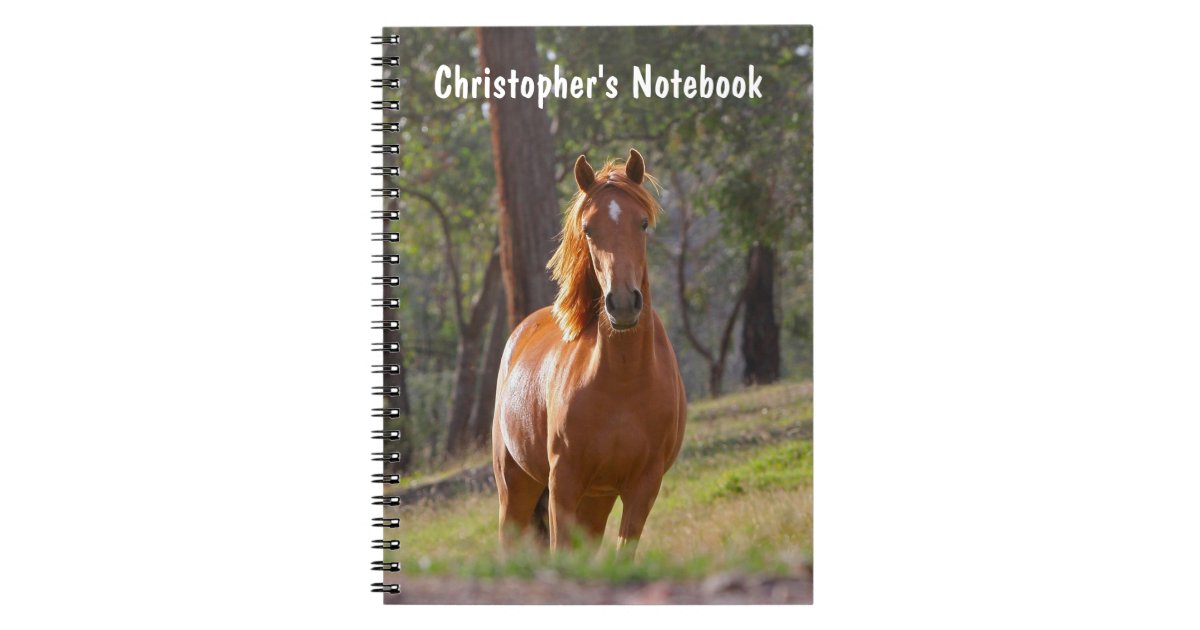 Beautiful chestnut horse photo custom boys name notebook