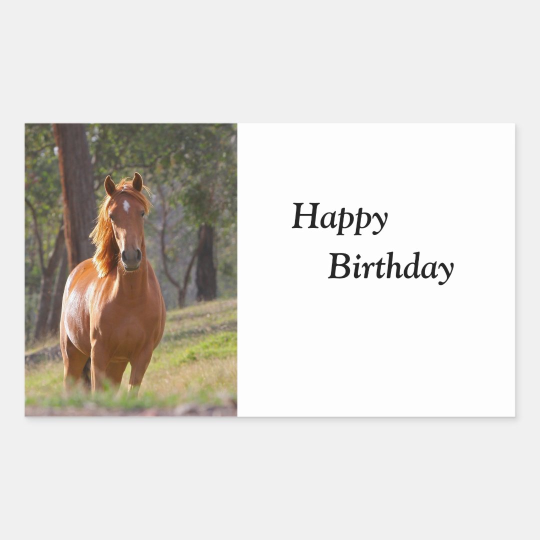 Beautiful Chestnut Horse Photo Happy Birthday Rectangular Sticker 