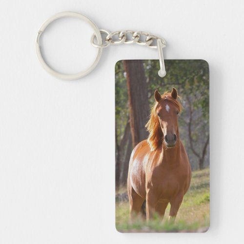 Beautiful chestnut horse photo portrait gift keychain