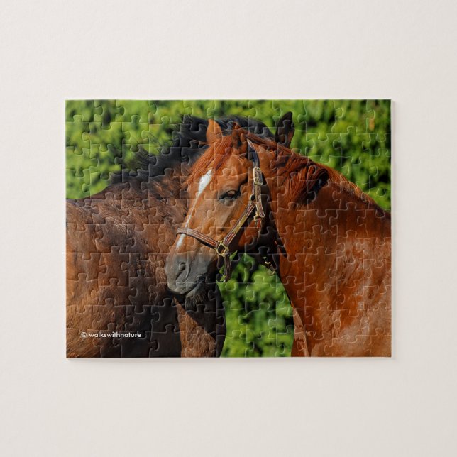 Beautiful Chestnut Horses in the Summer Sun Jigsaw Puzzle (Horizontal)