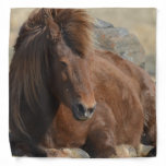 Beautiful Chestnut Icelandic Horse Bandana