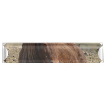 Beautiful Chestnut Icelandic Horse Desk Name Plate by HorseStall at Zazzle