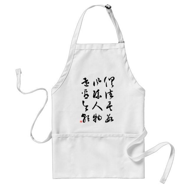 Beautiful Chinese Calligraphy - All are past Adult Apron (Front)