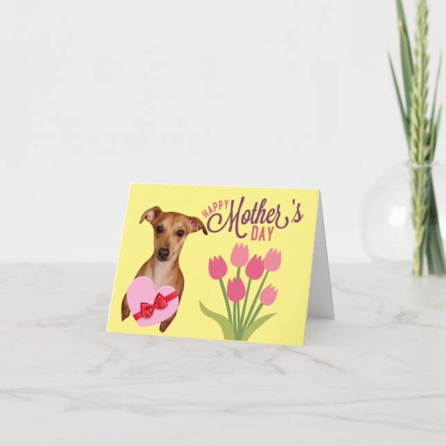 Beautiful Chiweenie Floral Mothers Day Card (Front)