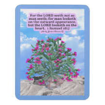 Beautiful Cholla Cactus Scripture 1 Samuel 16:7