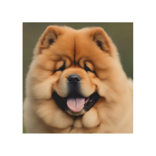 Beautiful Chow Chow Wood Wall Art