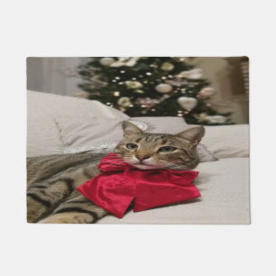 Beautiful Christmas Cat Doormat