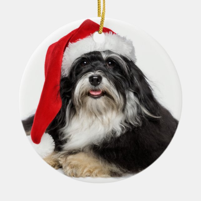 Beautiful Christmas Havanese Dog With Santa Hat Ceramic Ornament (Front)