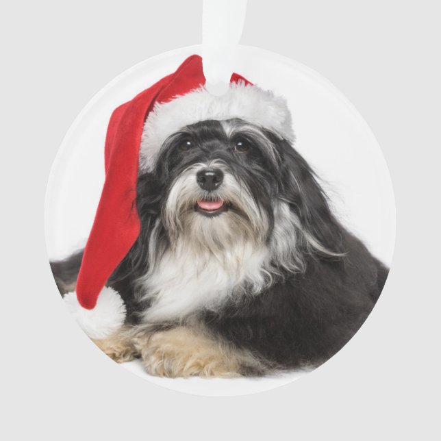 Beautiful Christmas Havanese Dog With Santa Hat Ornament (Front)
