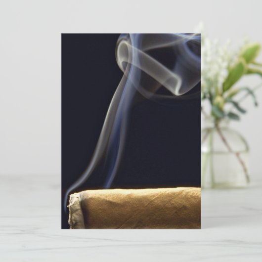 Beautiful Cigar with smoke (Standing Front)