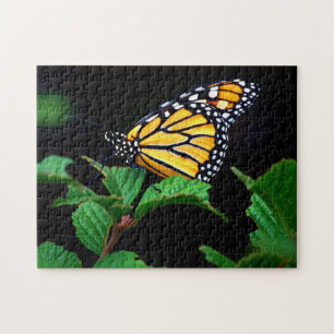 Beautiful Close Up Monarch Butterfly Puzzle