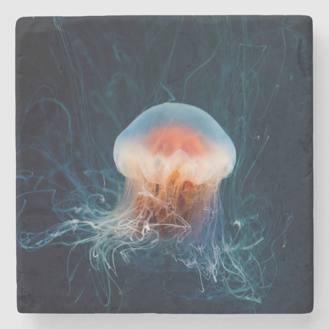Beautiful Close-Up of a Deep Ocean Jellyfish Stone Coaster (Front)