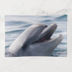 Beautiful Close-Up of a Dolphin Trinket Tray