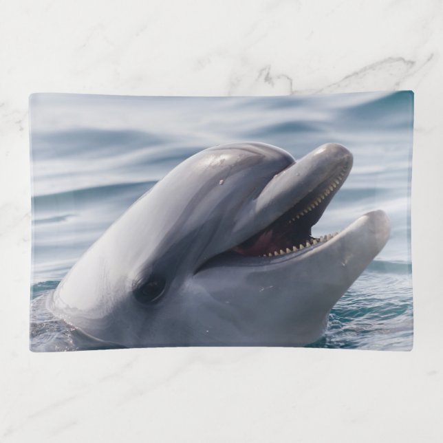 Beautiful Close-Up of a Dolphin Trinket Tray (Front)