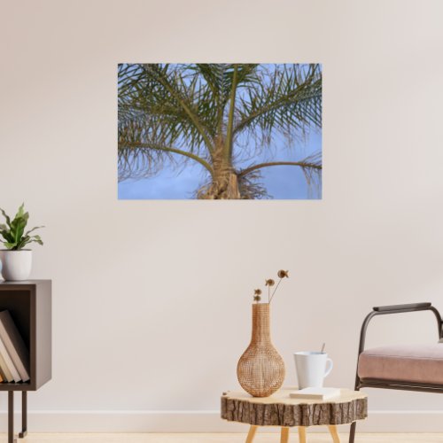 Beautiful Close_up Palm Tree Poster