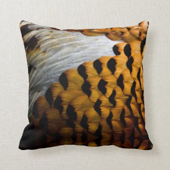 Beautiful  Closeup Of Pheasant Feathers Throw Pillow by DakotaInspired at Zazzle