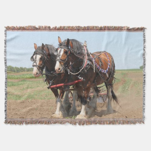 Beautiful clydesdale horses ploughing throw blanket