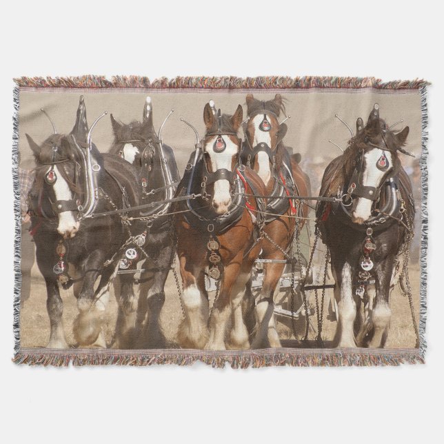 Beautiful Clydesdale Horses Plowing - Team Work Throw Blanket (Front)