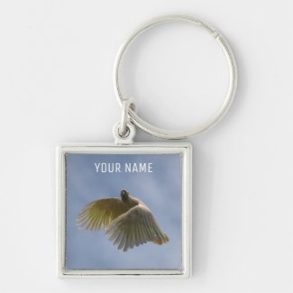 Beautiful Cockatoo Bird Parrot Flying in the Sky K