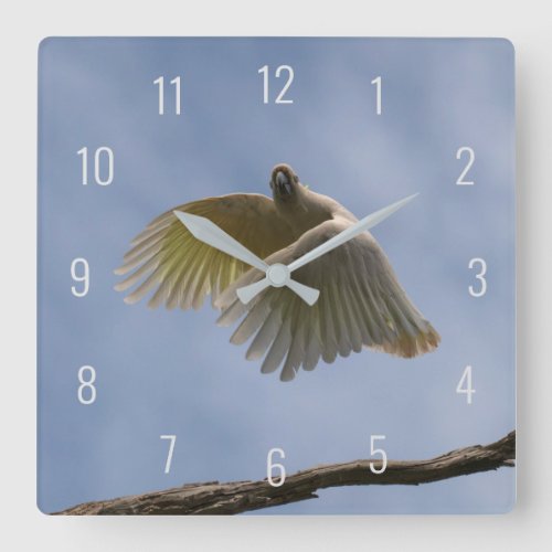 Beautiful Cockatoo Bird Parrot Flying in the Sky Square Wall Clock