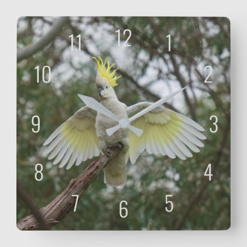 Beautiful Cockatoo Bird Parrot Spreading Wings Square Wall Clock