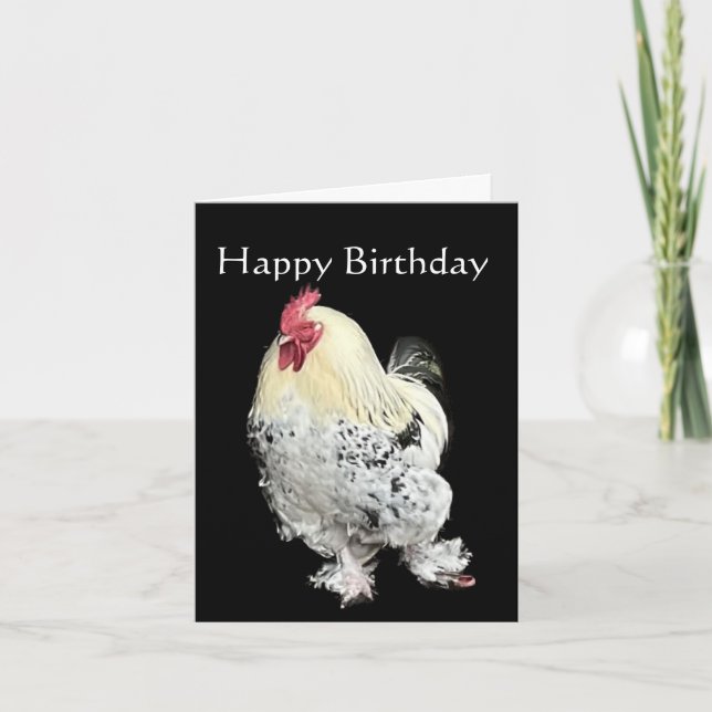 Beautiful Cockerel  Card (Front)