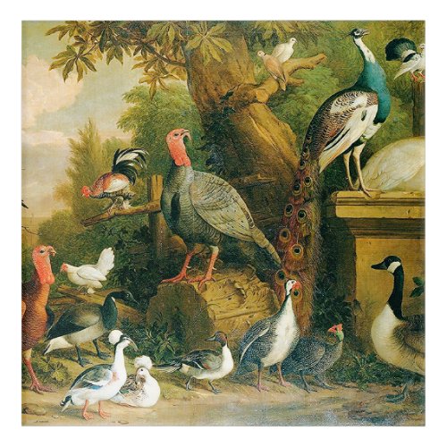Beautiful Collection of Birds with Vintage_Feel  Acrylic Print