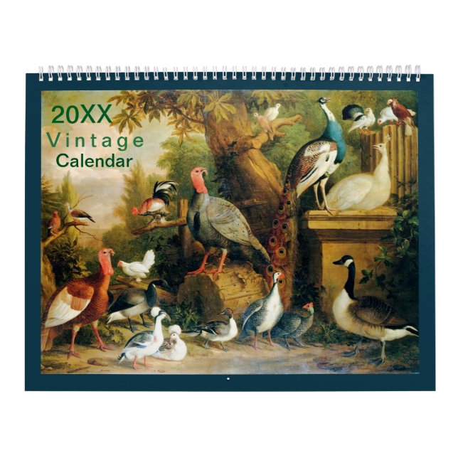 Beautiful Collection of Birds with Vintage-Feel  Calendar (Cover)