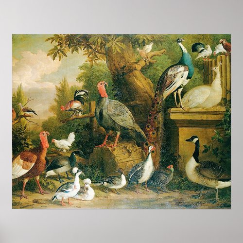 Beautiful Collection of Birds with Vintage_Feel Poster