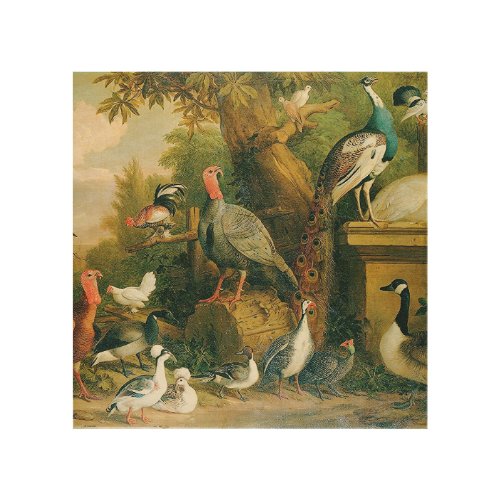 Beautiful Collection of Birds with Vintage_Feel    Wood Wall Art