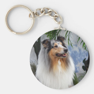 Details about   Rough Collie Realistic Dog Acrylic Key Ring Keychain Jewelry 