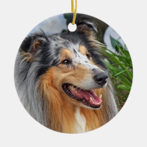 Beautiful Collie dog blue merle  ornament gift Ceramic Ornament