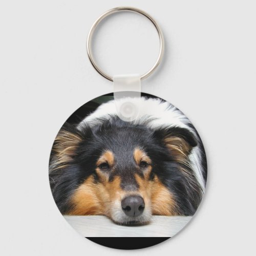 Beautiful Collie dog nose tri color keychain gift Keychain