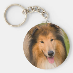 Rough Collie Dog Keyring Keyfob Lovely Image Fun Novelty Gift Present Idea