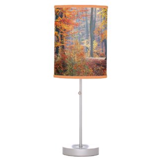 Beautiful colorful autumn forest sunbeams lamp shade