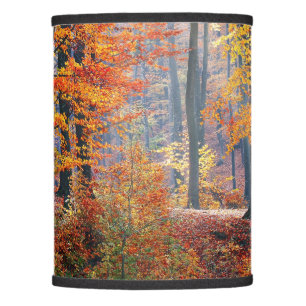 Beautiful colorful autumn forest sunbeams lamp shade